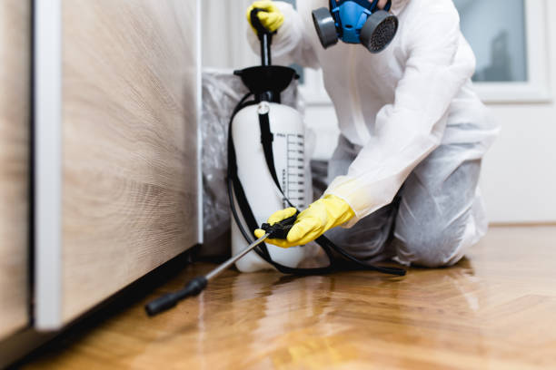 Wasp Removal Services in Colmar Manor, MD