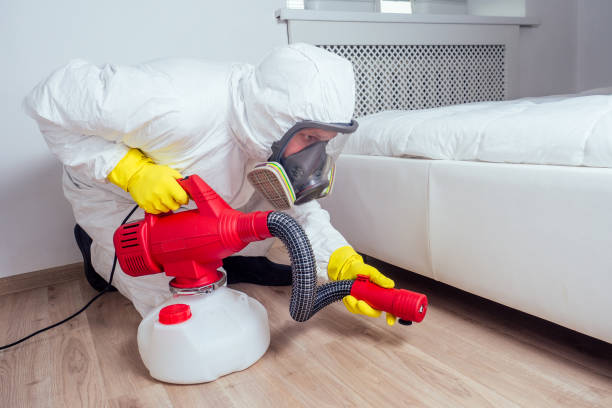 Best Rat Extermination Near Me  in Colmar Manor, MD