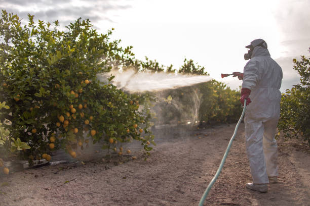 Best Wildlife Control Services  in Colmar Manor, MD