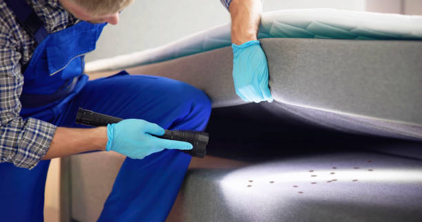 Best Affordable Pest Control Services  in Colmar Manor, MD