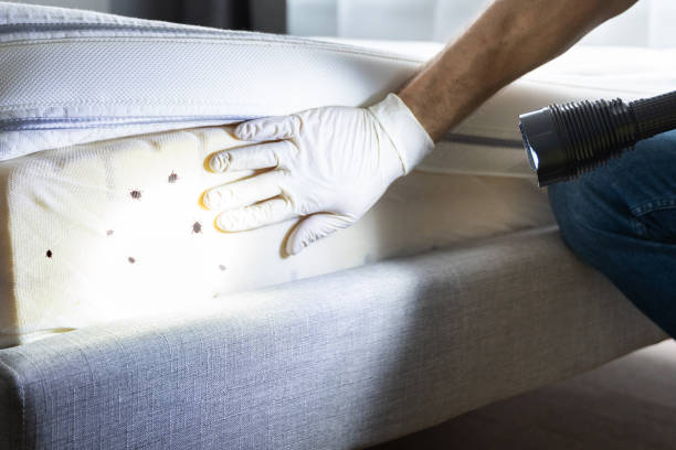 Wildlife Control Services in Colmar Manor, MD
