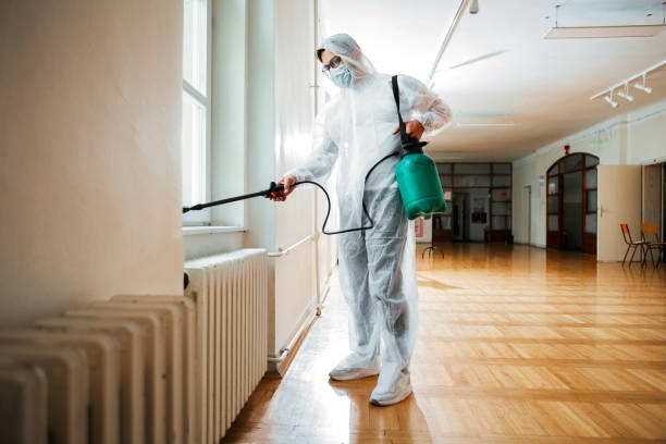 Best Affordable Pest Control Services  in Colmar Manor, MD